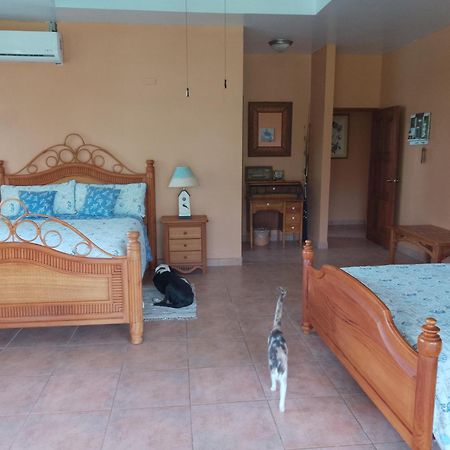 Gone Fishing Panama Resort Boca Chica Exterior photo