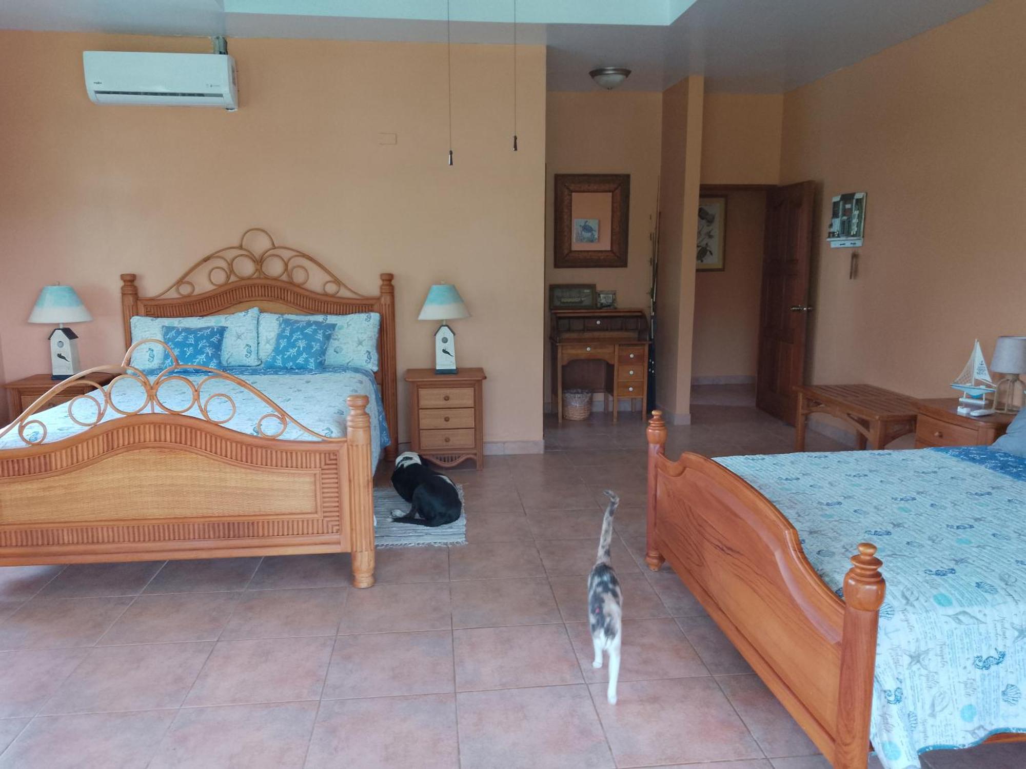 Gone Fishing Panama Resort Boca Chica Exterior photo